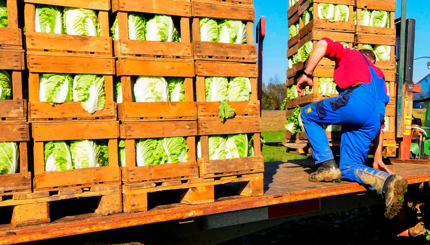 Como os desafios do agronegócio em 2024 impactam a gestão e logística dessas operações